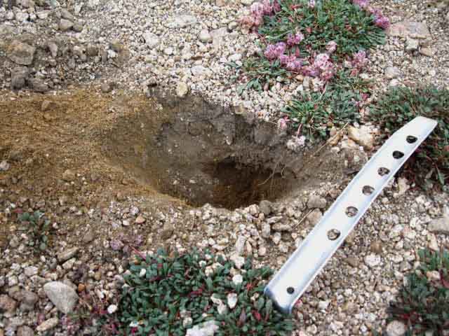 The perfect Shit Trowel: The 8 inch snow stake.